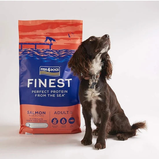 Fish4Dogs - 優質三文魚配方成犬乾糧