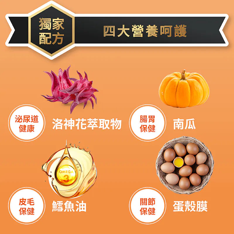 喵探長 - 南瓜烤雞 無穀全齡貓糧 300g / 1.5kg / 4.5kg