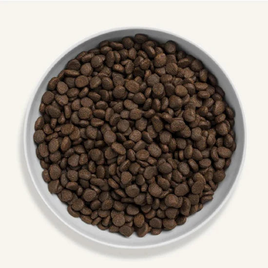 Canagan - 天然無穀物貓乾糧 - 蘇格蘭三文魚配方 1.5kg / 4kg
