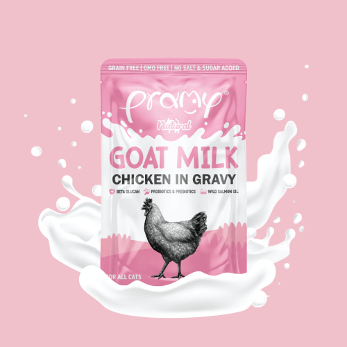 Pramy - 貓濕包 滅菌山羊奶系列 鮮嫩雞肉 60克