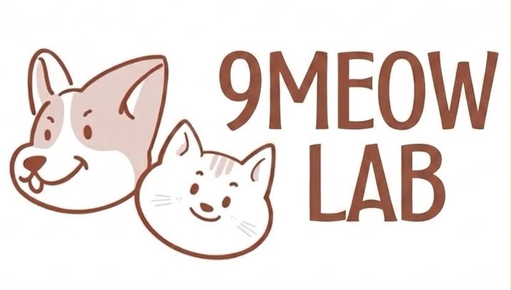 9 MEOW LAB
