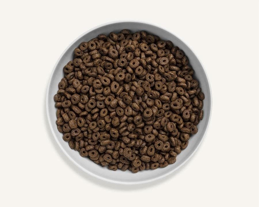 Canagan - 天然無穀物狗乾糧 - 細粒（小型犬） - 火雞健齒配方 2kg