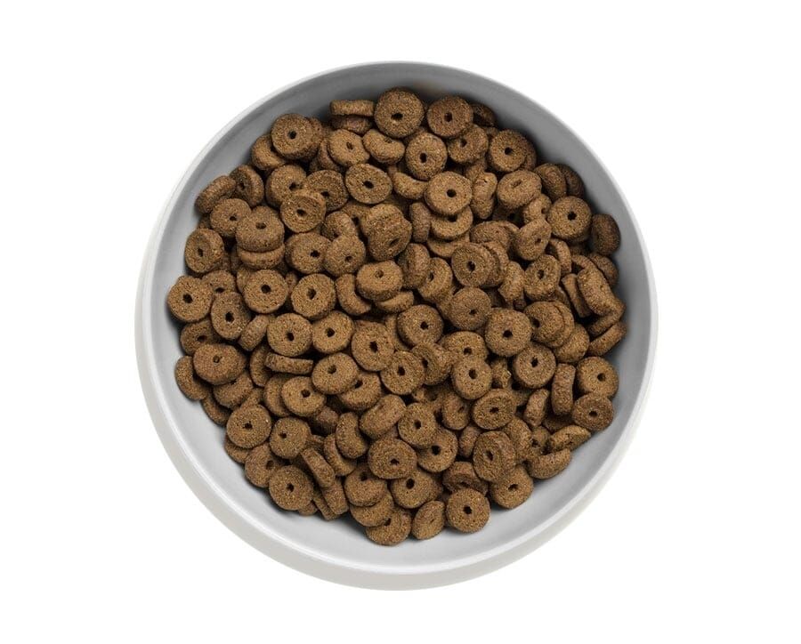 Canagan - 天然無穀物狗乾糧 - 走地雞配方 (減肥 / 老犬用) 2kg