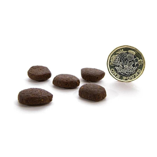 Canagan - 天然無穀物狗乾糧 - 蘇格蘭三文魚配方 2kg