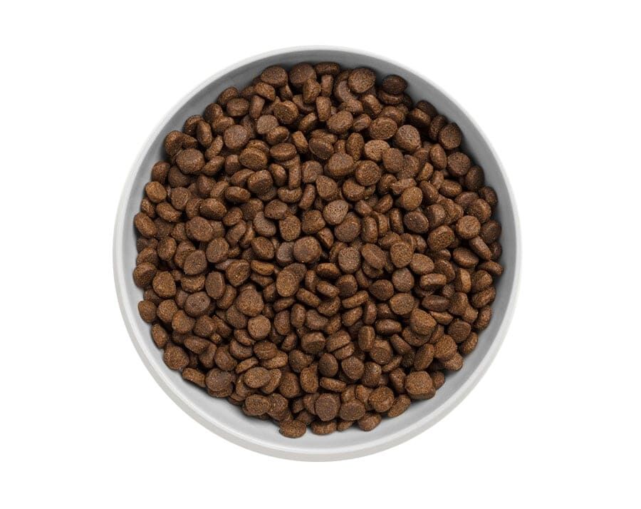 Canagan - 天然無穀物貓乾糧 - 走地雞配方 1.5kg / 4kg